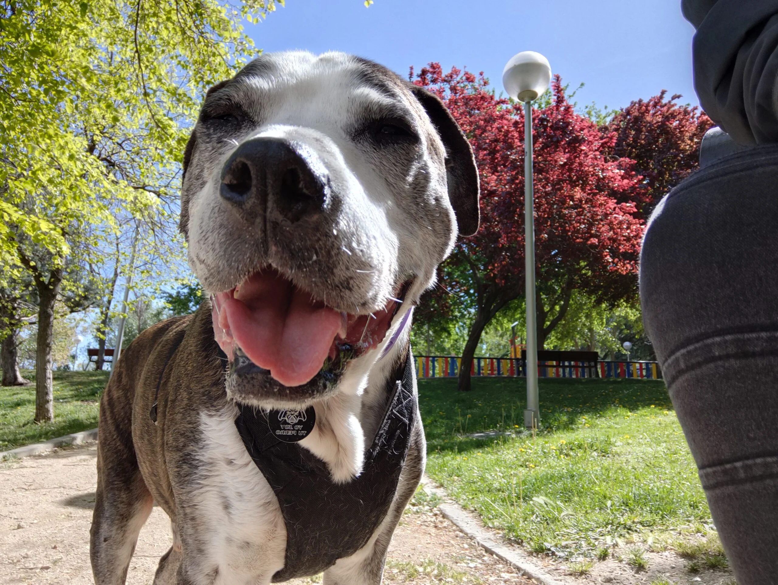 IMG20230412121419-21121adb0dc798bb0641a8152b07eff0-scaled Yunco